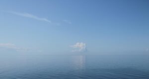 Косатки окружили лодку с женщинами в Атлантике