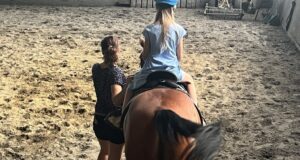 Лошади способны чувствовать страх человека – исследование