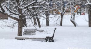 Метеообсерватория МГУ назвала январь 2026 самым снежным за 203 года