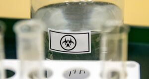 Вакцины нет, защита – в гигиене: врач дал инструкцию по профилактике вируса Нипах для туристов