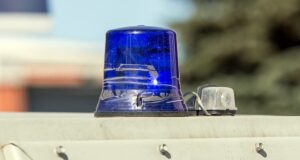 Судебные приставы депортировали из России более 60 тысяч мигрантов
