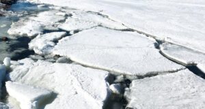 В Арктике вышедший на помощь судну немецкий ледокол застрял во льдах
