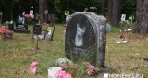 В Сан Паулу теперь можно хоронить вместе людей и домашних питомцев