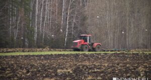 Мир оказался на пути к продовольственному кризису: ближневосточный конфликт подстегнул цены на удобрения