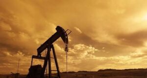 Bloomberg: Индия наращивает закупки российской нефти