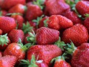 Shot: Бабушки начали продавать на российских трассах клубнику из Китая Shot: Бабушки начали продавать на российских трассах клубнику из Китая