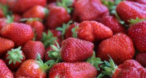Shot: Бабушки начали продавать на российских трассах клубнику из Китая
