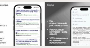 Gradius привлёк ангельские инвестиции по оценке 150 млн рублей