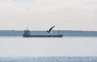 Оман и Иран работают над соглашением по управлению Ормузским проливом