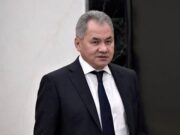Шойгу объяснил, почему Пашинян не хочет проводить референдум по ЕАЭС