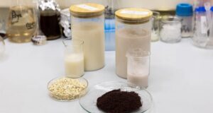 Уральские ученые улучшили овсяное молоко отходами винодельческого производства (ФОТО)