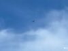 В Боливии шесть человек погибли при крушении военного самолета В Боливии шесть человек погибли при крушении военного самолета