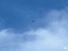 В Боливии шесть человек погибли при крушении военного самолета