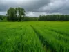 В деле пропавших в тайге Усольцевых появилась неизвестная тропа
