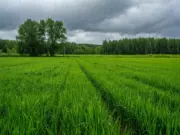 В деле пропавших в тайге Усольцевых появилась неизвестная тропа