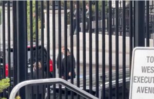 «Как дворовая девка Палашка»: на встречу с Трампом Зеленского завели через черный ход, минуя парадный
