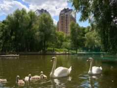 Группа Родина выходит на финальный этап строительства квартала здоровой жизни СОЮЗ лебеди
