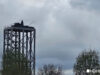 Средства ПВО ночью перехватили более 290 украинских дронов Средства ПВО ночью перехватили более 290 украинских дронов