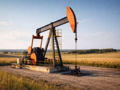 В ХМАО выставили на продажу нефтеперерабатывающий завод за 250 млн рублей
