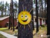 В Ирбитском районе из за наводнения эвакуируют детский лагерь