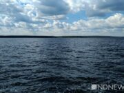 В Воронеже катер сбил насмерть купающегося школьника