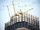 bird architecture skyscraper urban construction tower 103364 pxhere.com