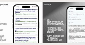 Gradius привлёк ангельские инвестиции по оценке 150 млн рублей