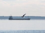 Морские поставки военных грузов НАТО на Украину остановились Морские поставки военных грузов НАТО на Украину остановились