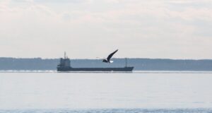 Морские поставки военных грузов НАТО на Украину остановились