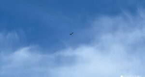 На Аляске разбился самолет с пассажирами