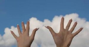 Нетрезвая дезертирша из ВСУ забросала соседей гранатами