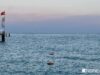 Судно турецкой компании подверглось атаке дрона в Черном море
