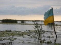 В Германии указали на беззащитность Украины перед Россией В Германии указали на беззащитность Украины перед Россией