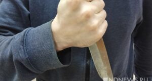 Во Франции вооруженный ножами мужчина ранил полицейских