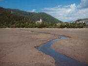 Германия столкнулась с сильнейшим за историю наблюдений истощением запасов воды