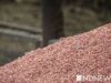 Латвия и Литва хотят остановить транзит российского зерна – Reuters Латвия и Литва хотят остановить транзит российского зерна – Reuters